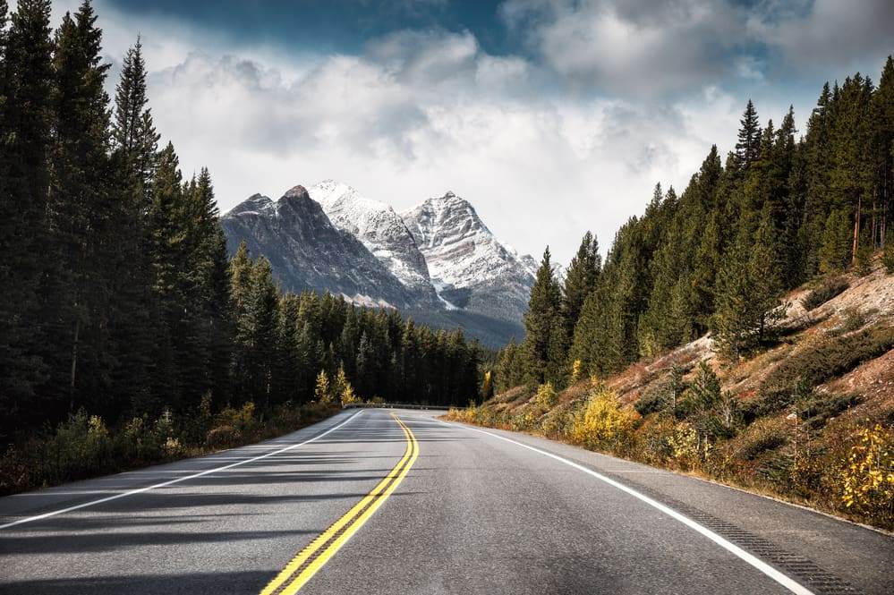 Traveling on asphalt highway and Rocky mountains in pine forest at Banff national park, Canada