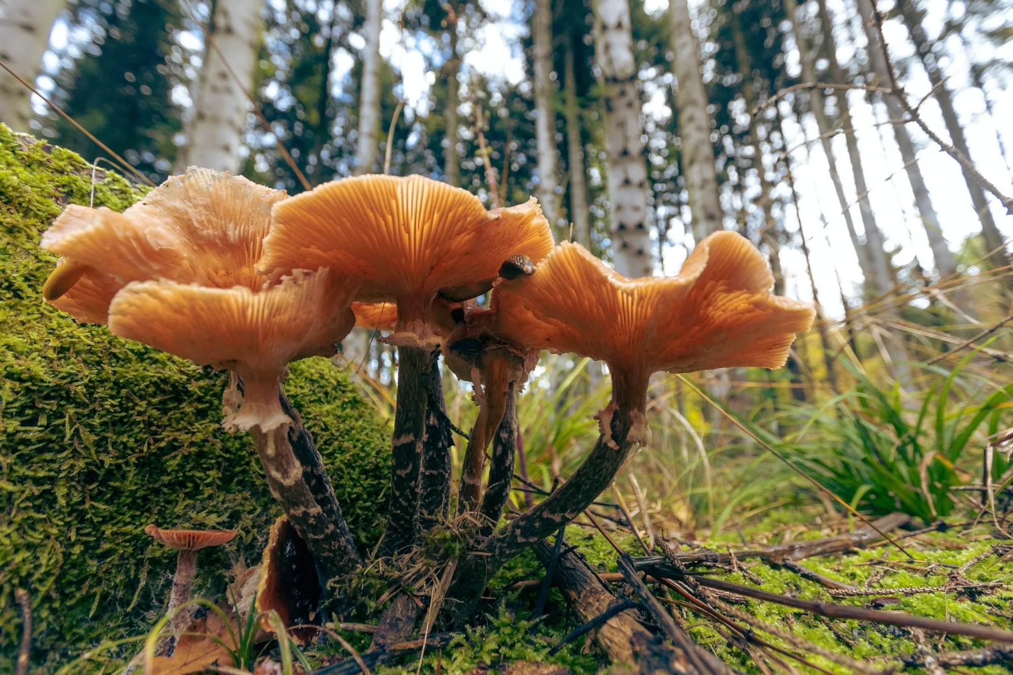 Image by Andreas/Pexels