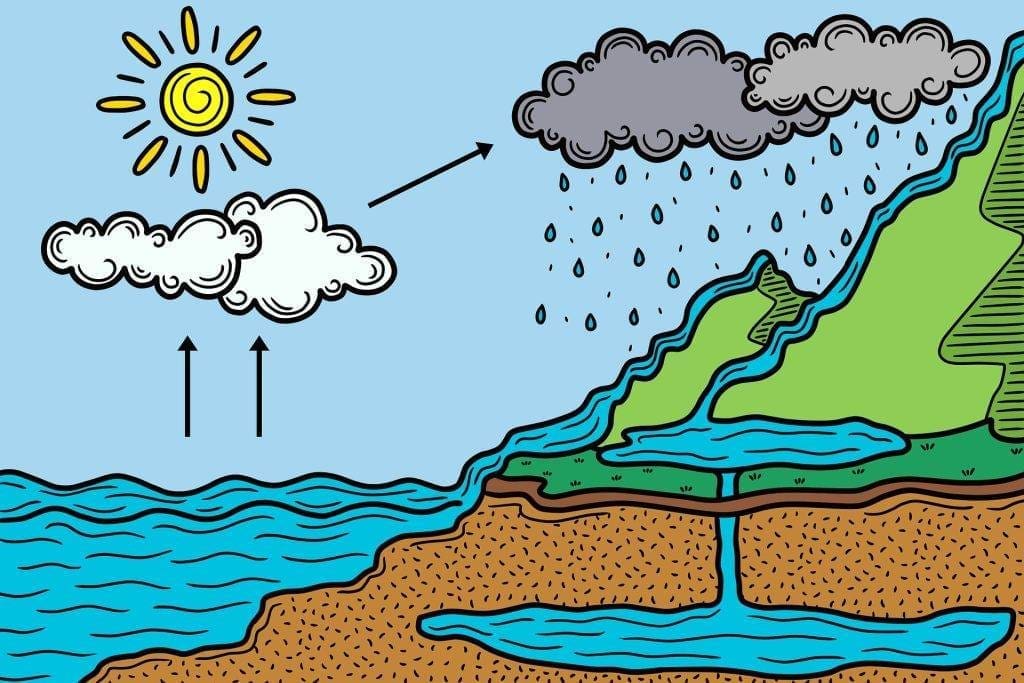 visual representation of the water cycle and How Does the Water Cycle Affect Weather and Climate