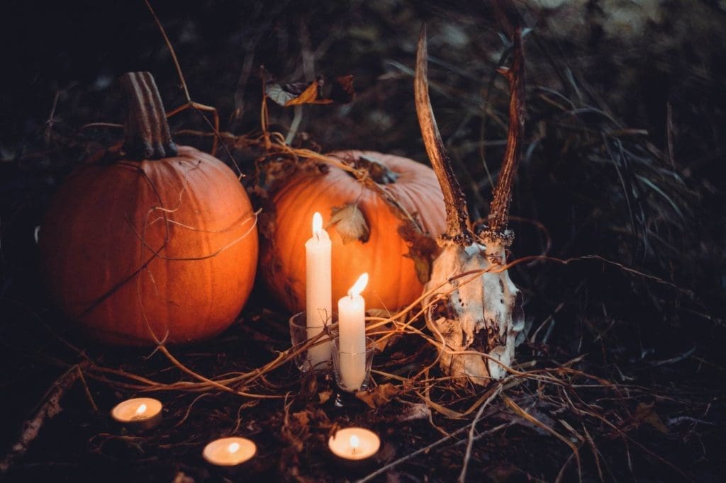 pumpkins and candles in woods
