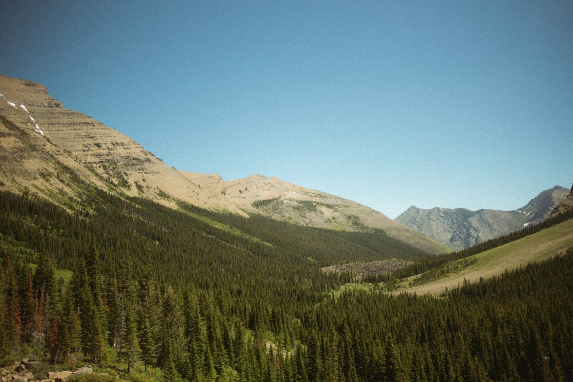 a landscape with trees and mountains