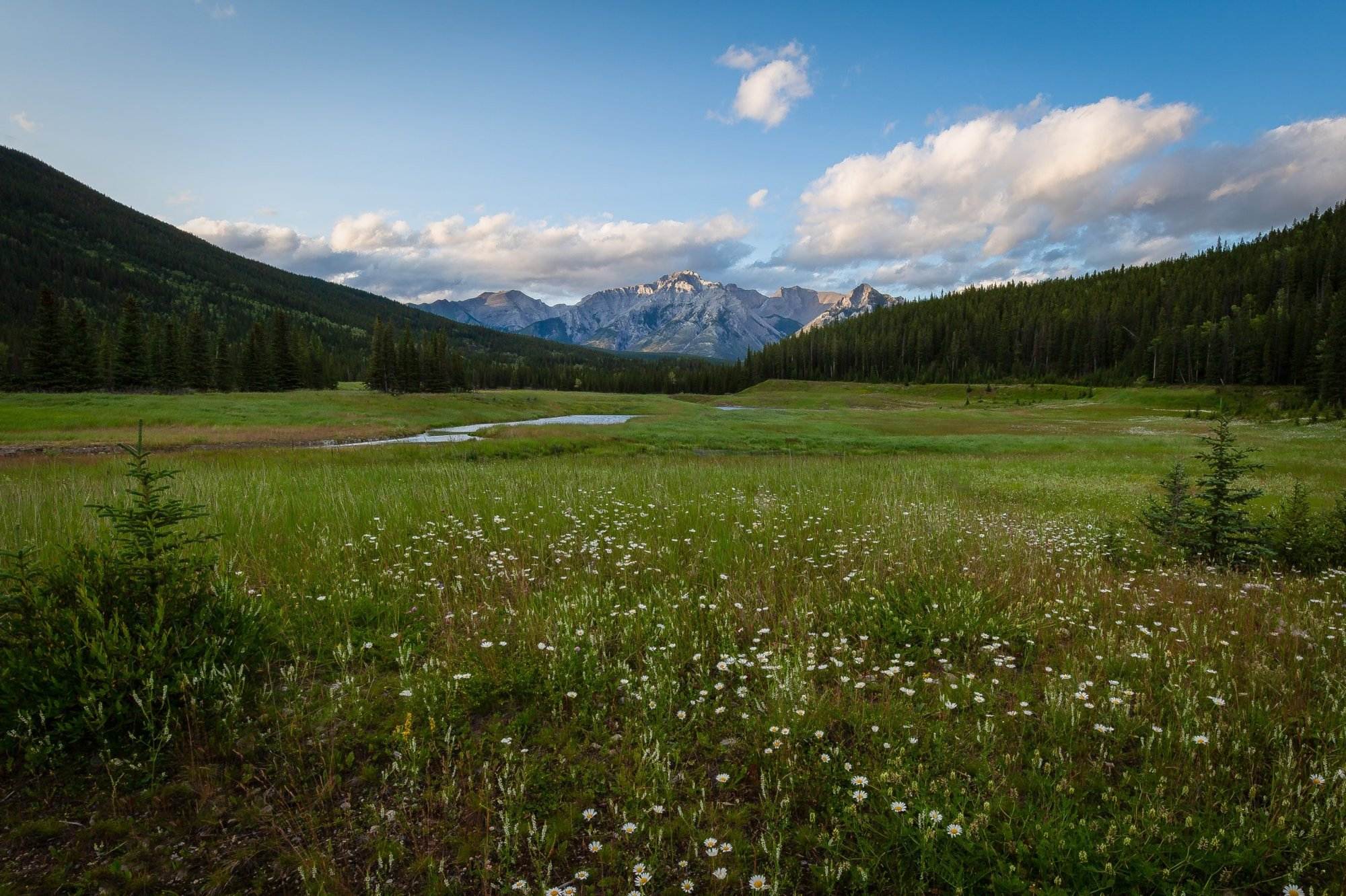 Valley in the Rocky Mountains near Banff