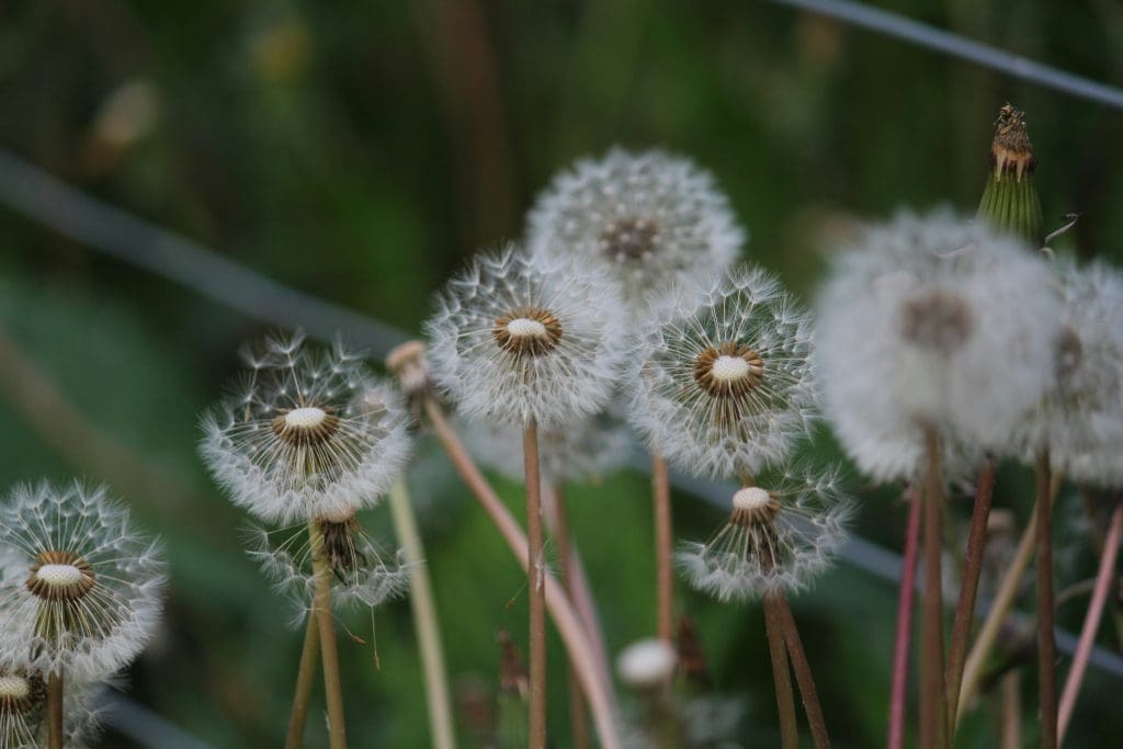 Image by Chinmay B/Unsplash