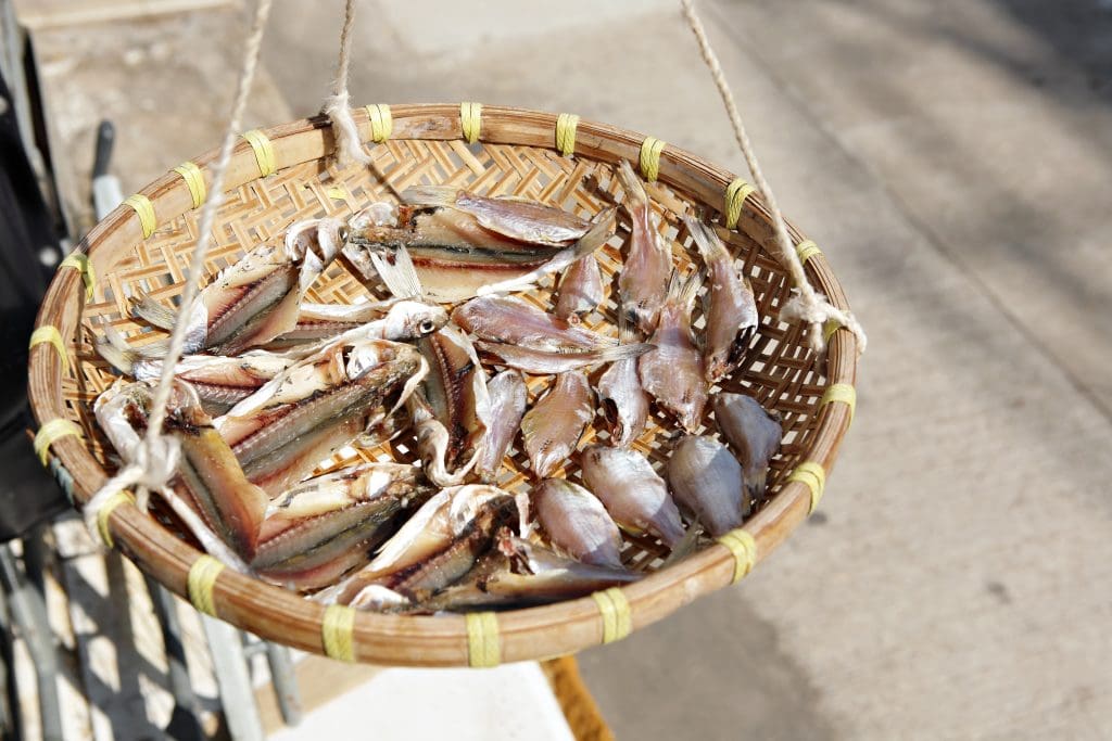 dried fish