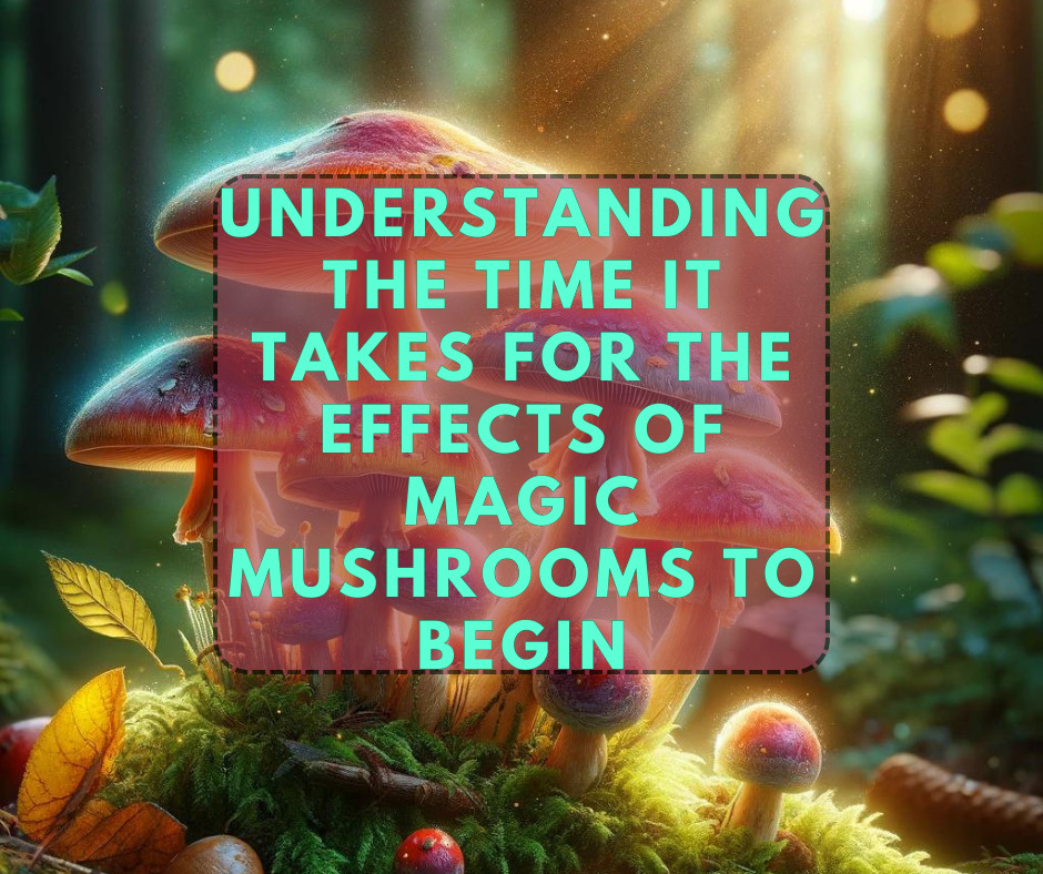 Understanding the Time it Takes for the Effects of Magic Mushrooms to Begin