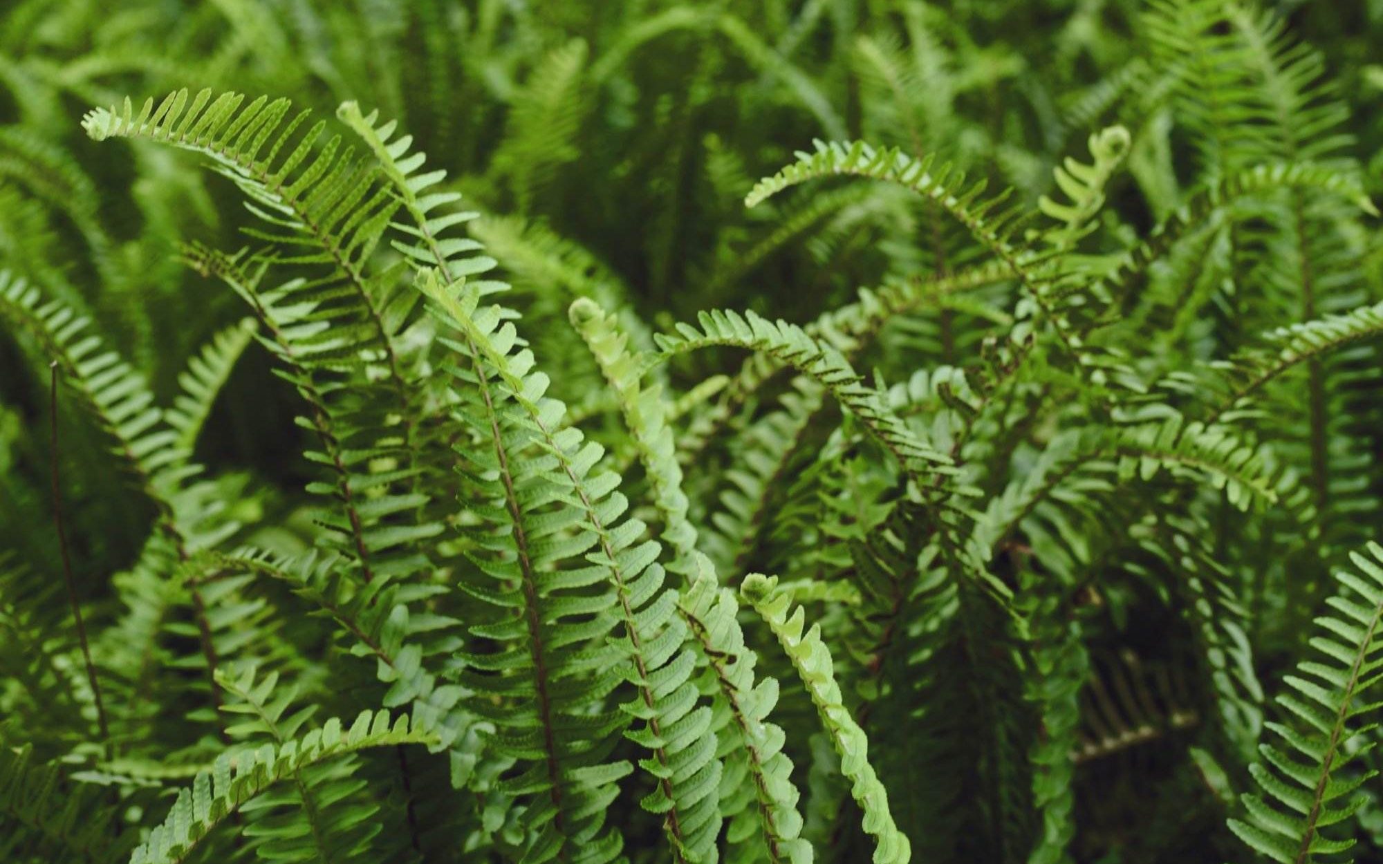 Image by Li Xiaohan/Unsplash