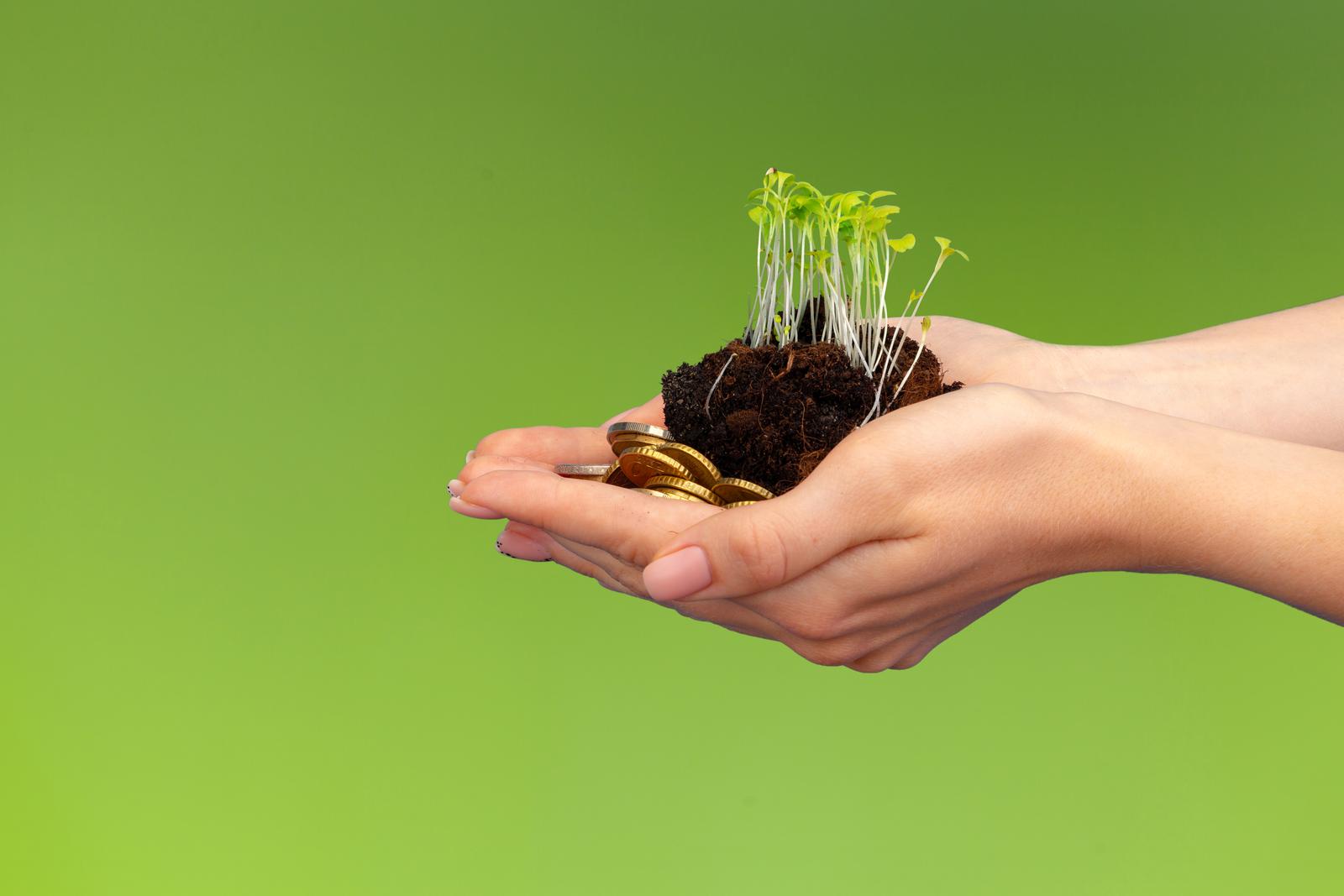 Charting Sustainable Economic Growth