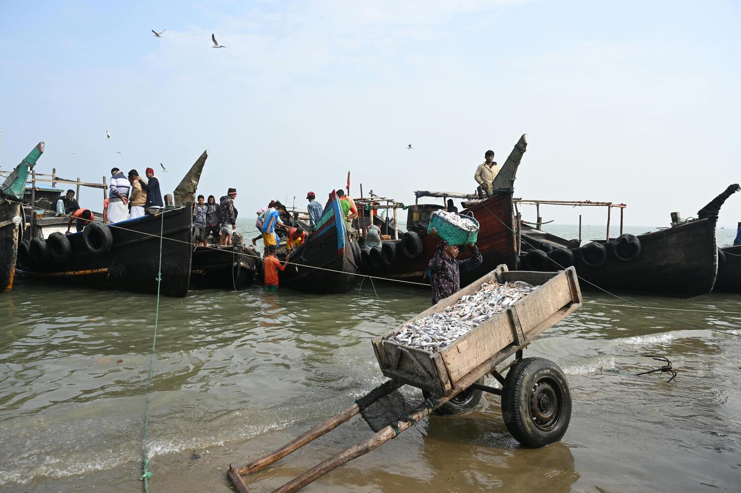 Maritime Commerce And Fishing